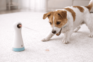 PlayChase Interactive Laser Toy